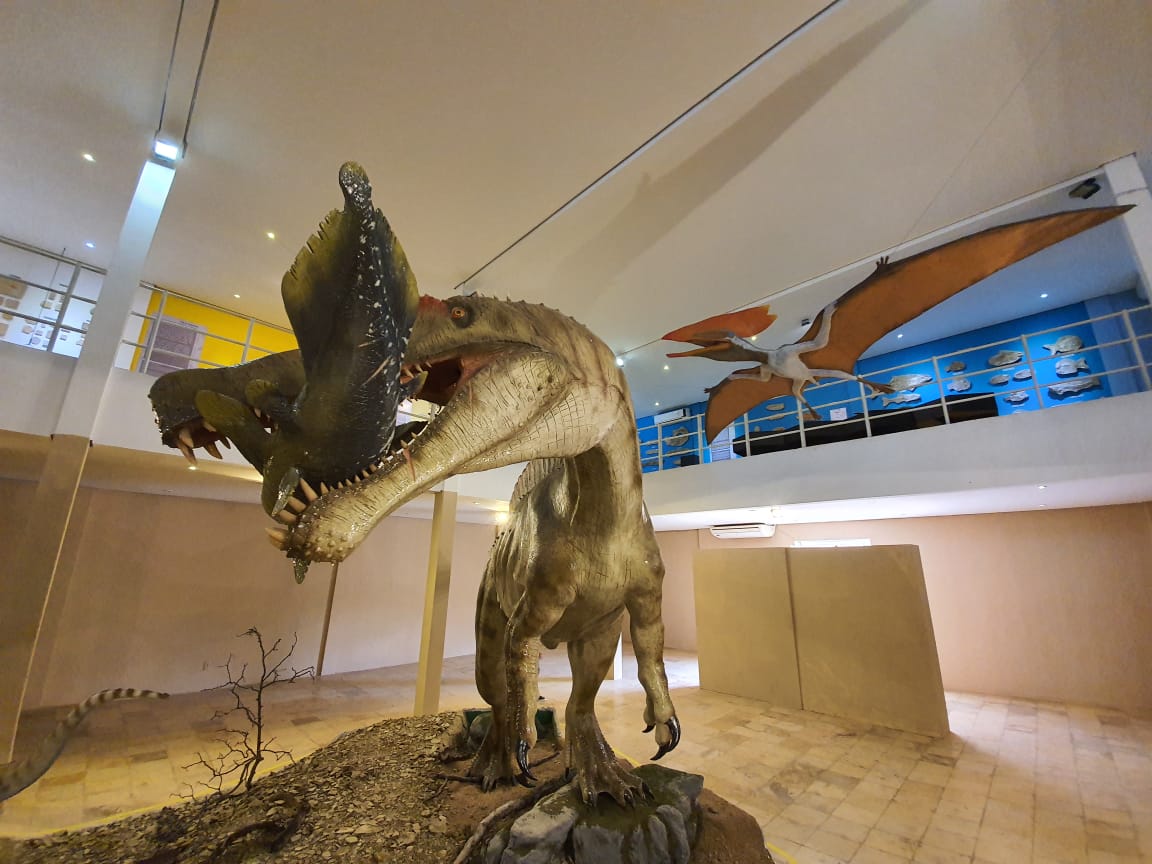 Museu de Paleontologia da UFRGS