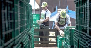 Campanha do Sesc incentiva doação de alimentos à população vulnerável ao Covid-19