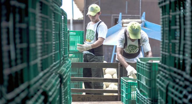 Campanha do Sesc incentiva doação de alimentos à população vulnerável ao Covid-19