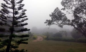 Chove em mais de 60 cidades e clima fica mais ameno em algumas regiões do Estado