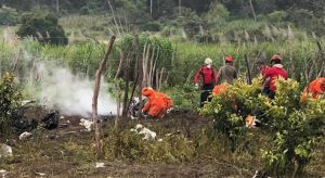 Bombeiros tentam resgatar corpos de médicos e piloto mortos em queda de avião