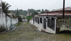 Ceará registra chuvas em mais de 70 cidades; Palmácia tem a maior precipitação em 24 h