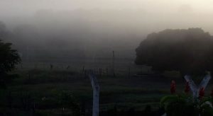 Início do inverno no Hemisfério Sul traz temperaturas mais amenas ao Ceará