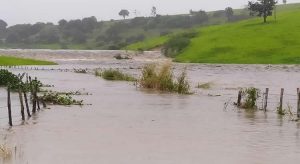 Barragem se rompe no agreste de Pernambuco e água invade casas