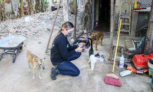 Pet shop de Fortaleza é investigado por realizar irregularmente castração de animais