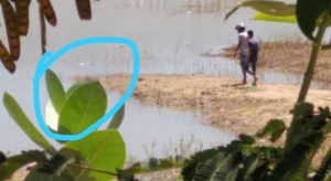 Corpo de mulher encontrado na lagoa do Parque Ecológico em Juazeiro