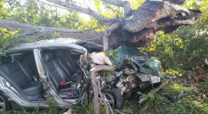 Motorista morre ao chocar veículo em árvore na BR-304, em Aracati, no Ceará