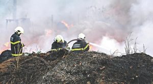 Estado decreta emergência ambiental até 2021 para mitigar impactos de incêndios