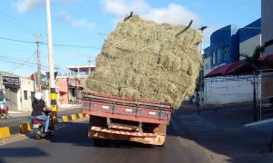 caminhão carregado de feno é flagrado com risco de tombamento em Juazeiro do Norte