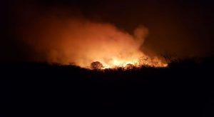 Áreas de vegetação de Santa Quitéria e Ipueiras sofrem incêndios durante o fim de semana