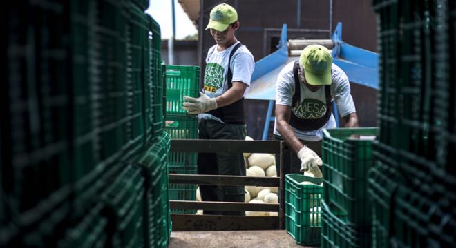 Sesc distribui oito mil cestas básicas; cerca de 45 mil pessoas serão beneficiadas