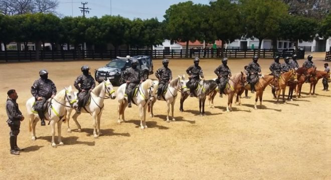 Cariri ganha policiamento montado com cavalaria estruturada