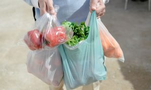 Assembleia aprova projeto que proíbe distribuição de sacolas plásticas não biodegradáveis no Ceará