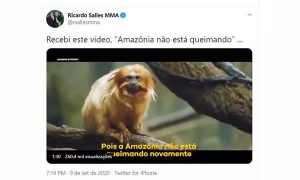 Ricardo Salles nega queimadas na Amazônia compartilhando vídeo da Mata Atlântica