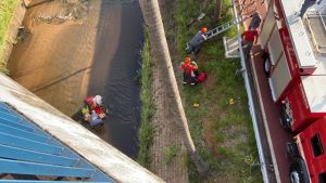 Cadeirante morre após ser jogado de viaduto em tentativa de assalto