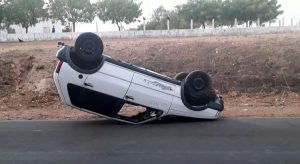 Motorista tenta desviar de cachorro, mas capota carro e mata animal