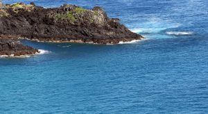 Turistas são presos após falsificação de exames da Covid-19 para entrada em Fernando de Noronha