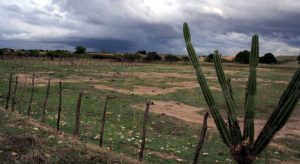 Chove em 27 cidades e Funceme prevê continuidade até sexta-feira (13)