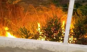 Área de vegetação é atingida por incêndio em bairro do município de Barbalha