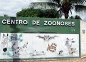 Cão é sacrificado no Centro de Zoonoses de Crato, mesmo sem doença