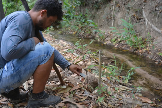 Centro de Pesquisas Ambientais quer restaurar Caatinga na Chapada do Araripe