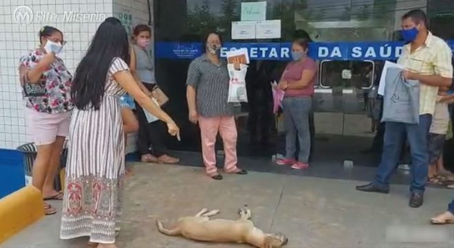 Vereadora deixa cão morto na entrada da Secretaria da Saúde de Juazeiro do Norte