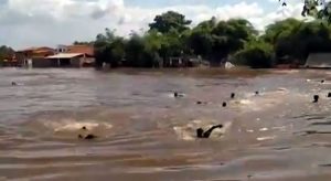 Ponte sobre o rio Mearim desaba e deixa feridos em Bacabal, no Maranhão