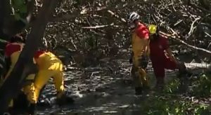 Monomotor que seguia para MG cai em mangue e uma pessoa morre em Aracaju