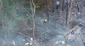 Queda de avião bimotor no Mato Grosso deixa quatro mortos