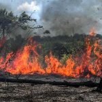 Bolsonaro prorroga atuação de militares na Amazônia e proíbe queimadas