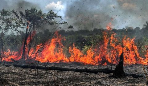 Bolsonaro prorroga atuação de militares na Amazônia e proíbe queimadas