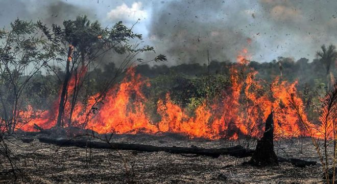 Bolsonaro prorroga atuação de militares na Amazônia e proíbe queimadas