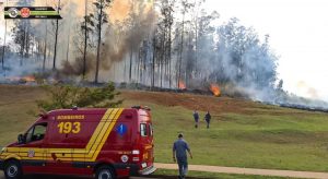 Avião cai em área de mata e quatro pessoas morrem