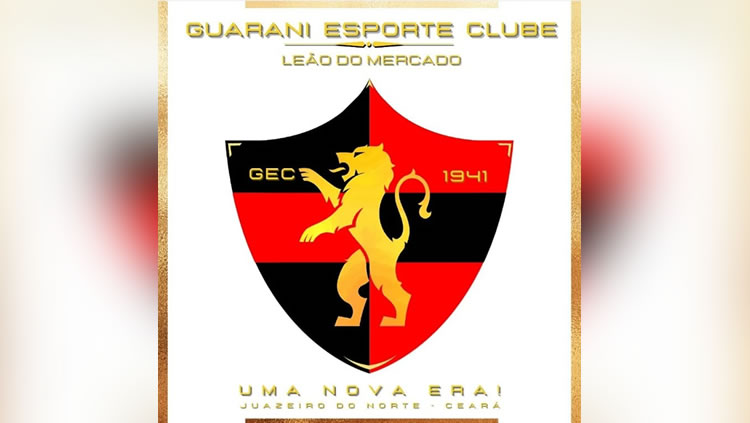 Artigo - Pesquisa de mercado para o Sport Club do Recife