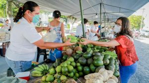 feira agricultura familiar