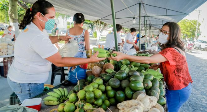 feira agricultura familiar